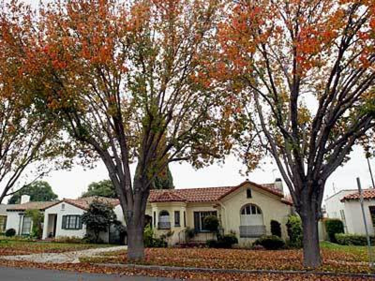 Changing leaves bring seasonal color to a stretch of vintage homes on 3rd Street in Downey. Many of the city's small houses built in the 1940s and '50s on spacious lots are being enlarged and remodeled today.