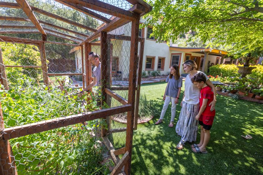 Sunland, CA - June 15: Elena Malone and her husband, Josh Ryan and kids Ruby Malone, 11, and Amos Malone, 9, and their dog Zara, at their home in Sunland Saturday, June 15, 2024. The school teachers, bought their dream house in a horsey/moutainous area of Sunland. Their neighbor is a hoarder/mentally ill/drug addict who has made life very difficult for a street in Sunland and particularly one family. Next door was a 9 acre property owned by a retired school teacher and occupied by her troubled son, David Ferrera. At first he seemed friendly, but pretty soon his life fell apart and he and his equally troubled girlfriend were living in a car outside Malone's front gate. The property has no electricity or running water. There were stolen cars blocking the street, used condoms, trash bags of marijuana, anal plugs, human waste. The property itself is strewn with stolen cars (LAPD estimates 100 stolen vehicles on property) and unpassable to authorities. At one point Malone needed to pick her husband up from chemotherapy and couldn't get out of her gate. Her children cannot play outside. A judge earlier this year sentenced the elderly mother to jail - she was out in 11 hours - but said he couldn't do anything else and suggested Malone confront Karen Bass.The fire department had cleaned up the street somewhat, but the property itself is still a mess and a fire harzard (There have been several wildfires in this area.) Their neighbor's 9-acre Sunland property is owned by Mary Ferrera, 80, of La Crescenta, and occupied by her son David, 50, and It's been the subject of years of complaints by neighbors and the owner was sentenced to jail time earlier this year for failure to clean it up. (Allen J. Schaben / Los Angeles Times)