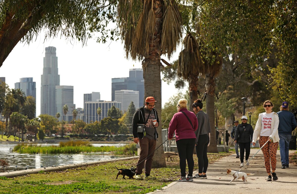 Los visitantes de Echo Park Lake pasean a sus perros a principios de marzo.
