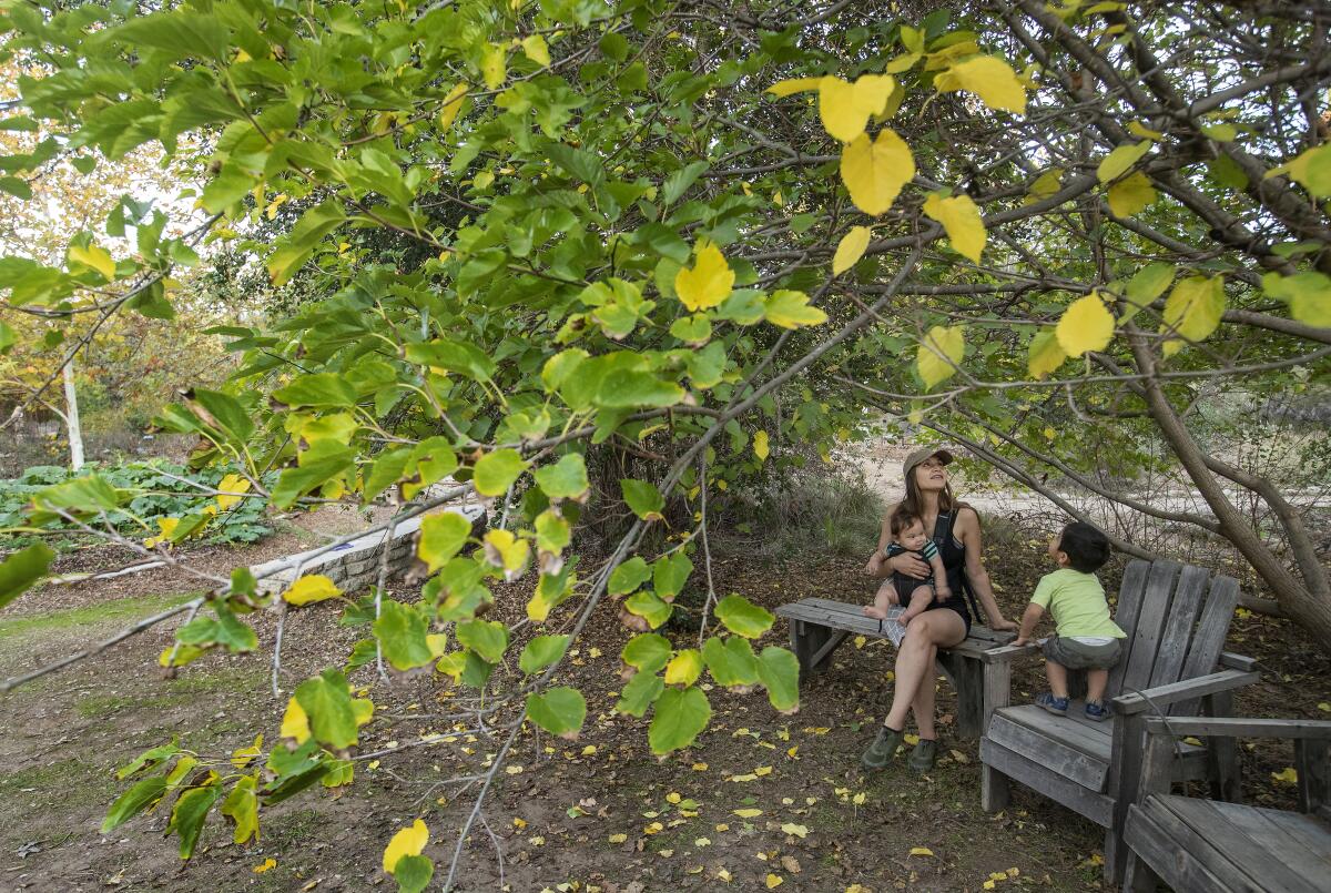 A woman holding a baby sits on a wooden bench, with a toddler near her on a wooden chair, beneath trees.