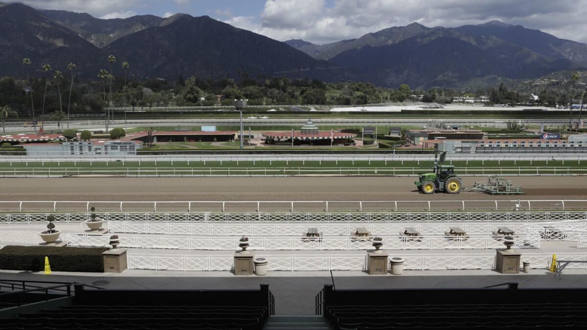 The Santa Anita race track in Arcadia. Santa Anita announced on Wednesday that it is purchasing a machine that can provide rarely-before seen imaging of a horse’s ankle (fetlock) in the hopes of detecting injuries earlier.