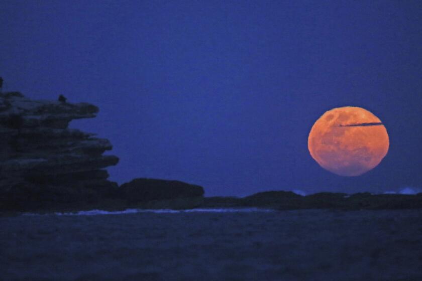 The moon rises with an orange glow as people watch from a rock cliff at Bondi Beach in Sydney. The supermoon, known to scientists as a perigee moon, occurs when Earth's neighbor appears at its largest and brightest compared with other full moons.