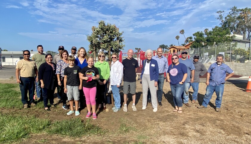 San Diego city staff, Village Garden Club of La Jolla members, and Bird Rock Elementary School members at the new tree