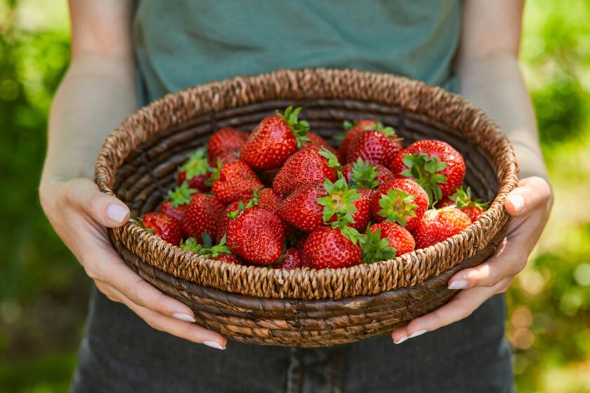 cropped view of woman holding wicker bowl with strawberries