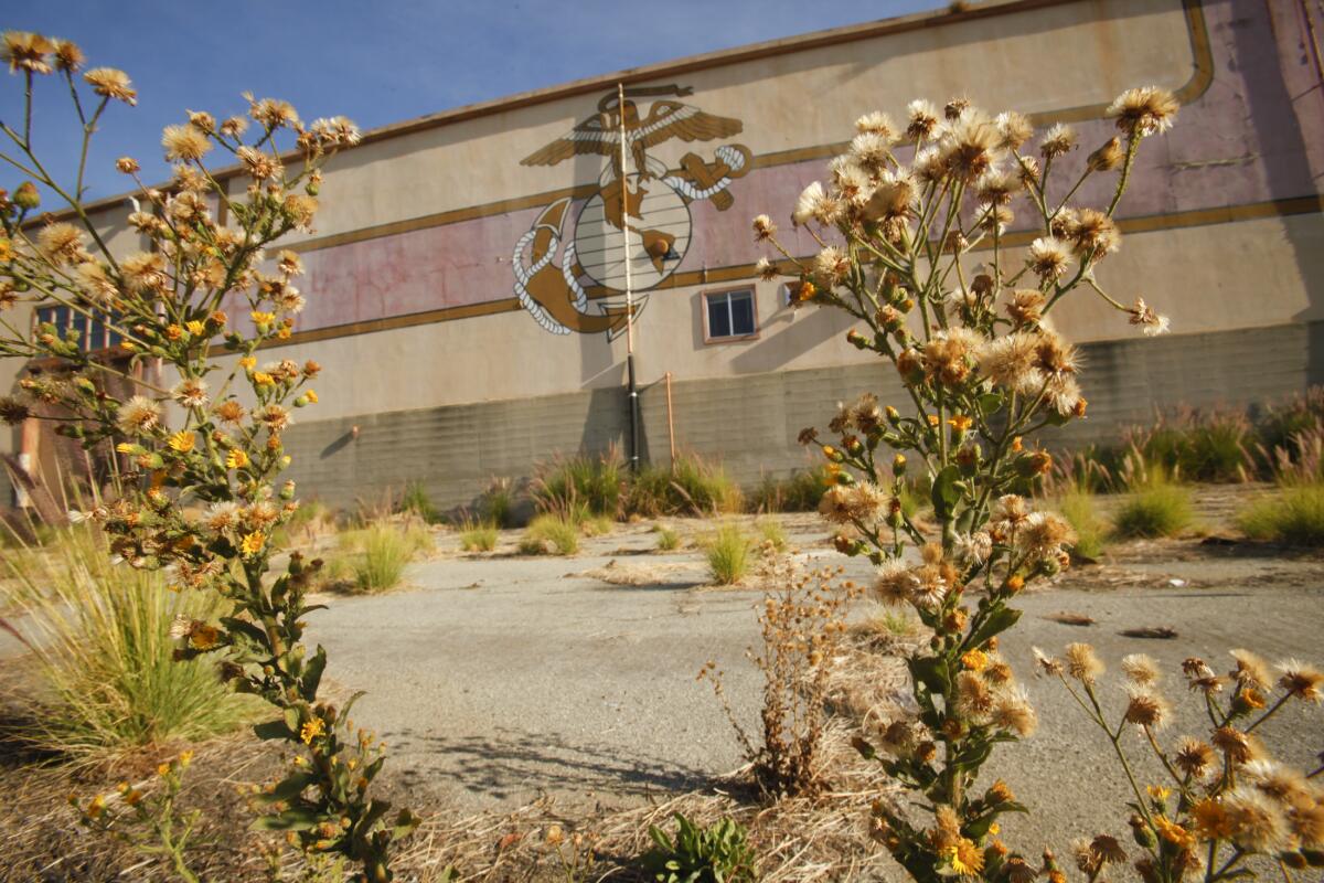 Weeds grow at the old El Toro Marine Base in Irvine in 2012.