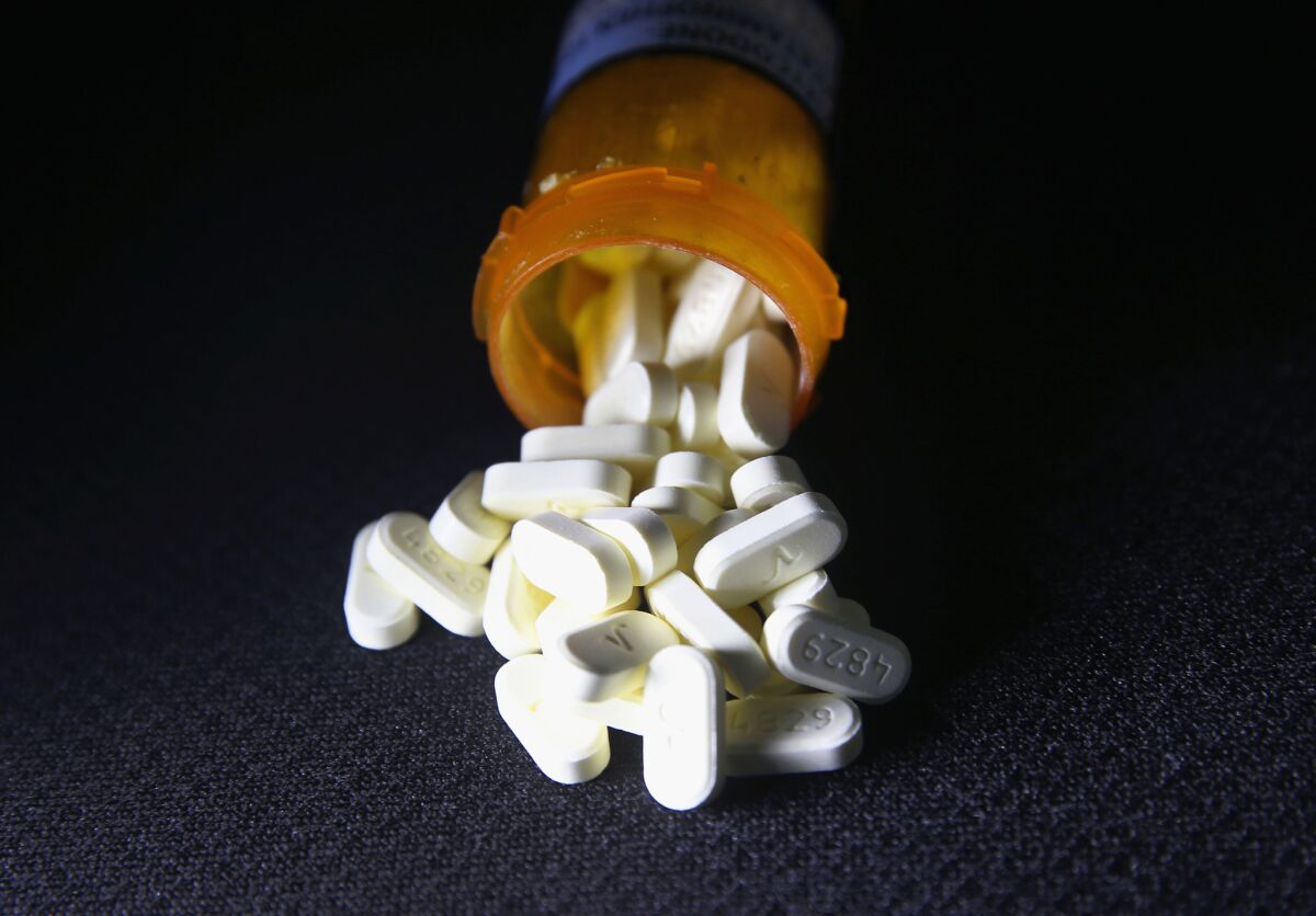 Oxycodone pills on the loose: Physicians may be especially vulnerable to abuse of prescription drugs.