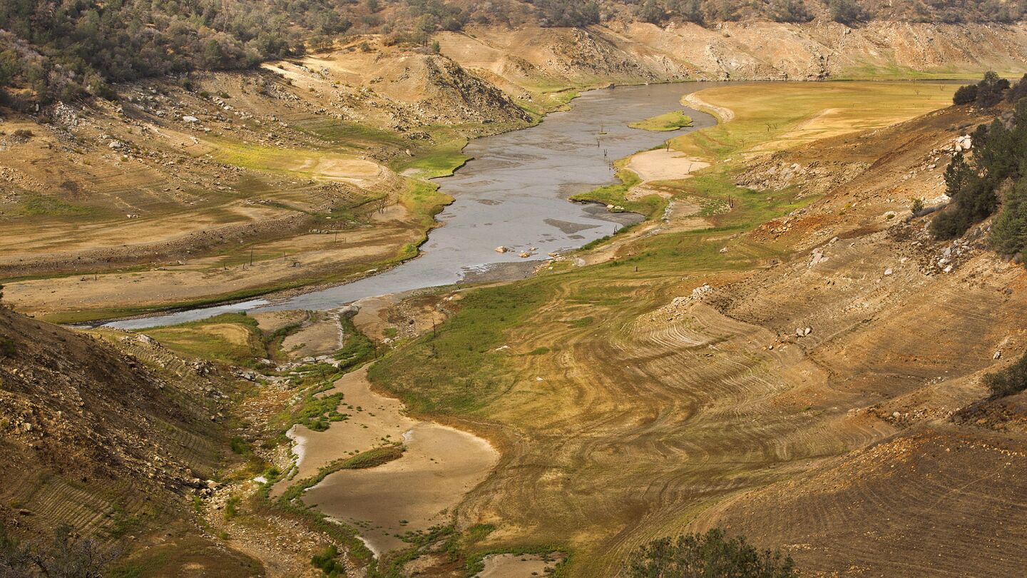 On Assignment: Focusing on the effects of California's persistent drought