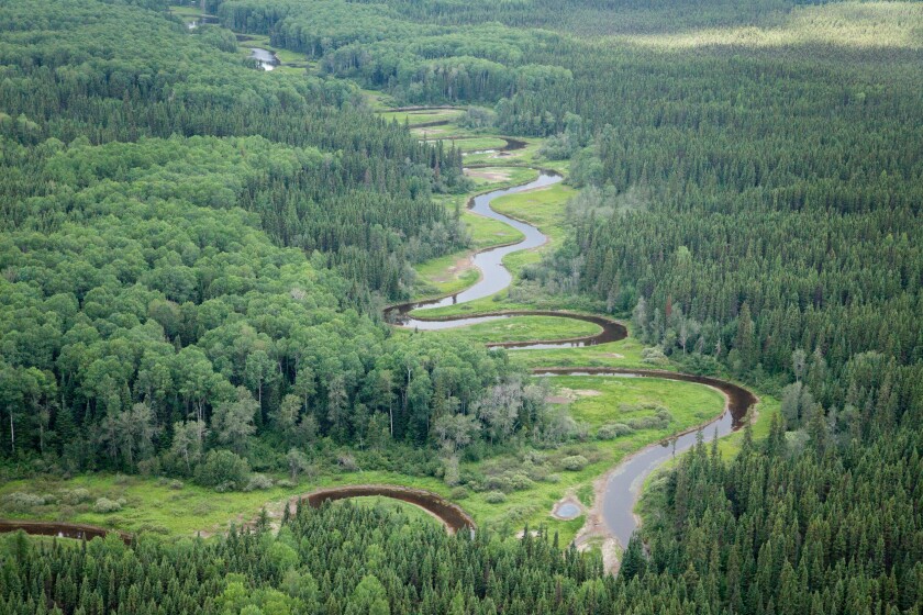 A river runs through the Broadback Forest
