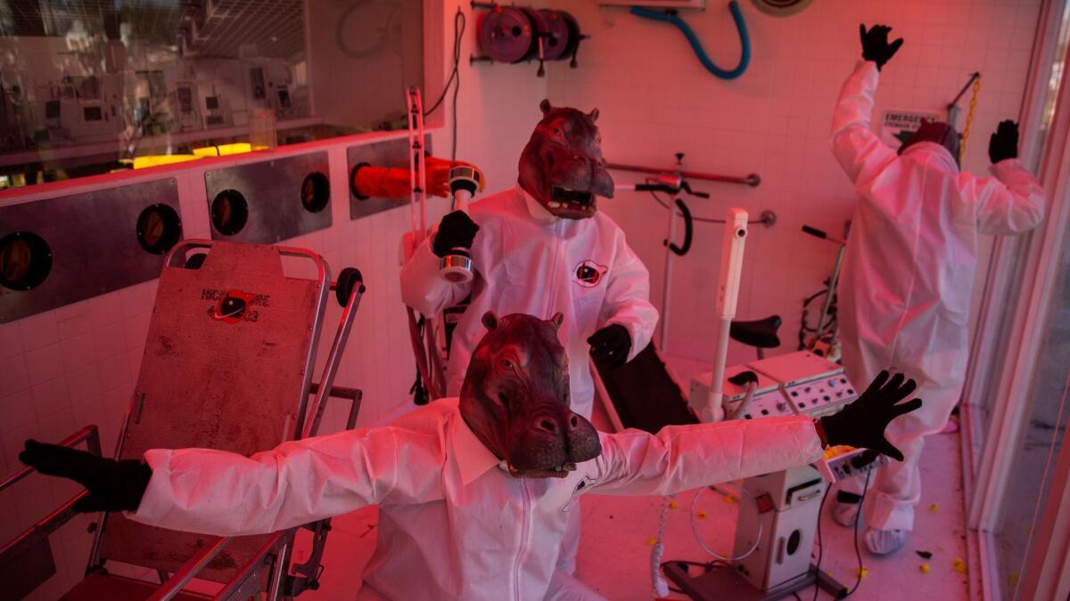 People dressed as hippos in a favorite art installation on the Coachella grounds.