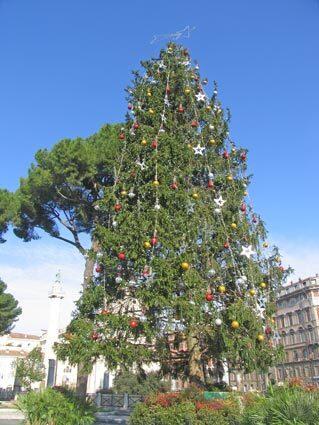 Christmas trees of Rome