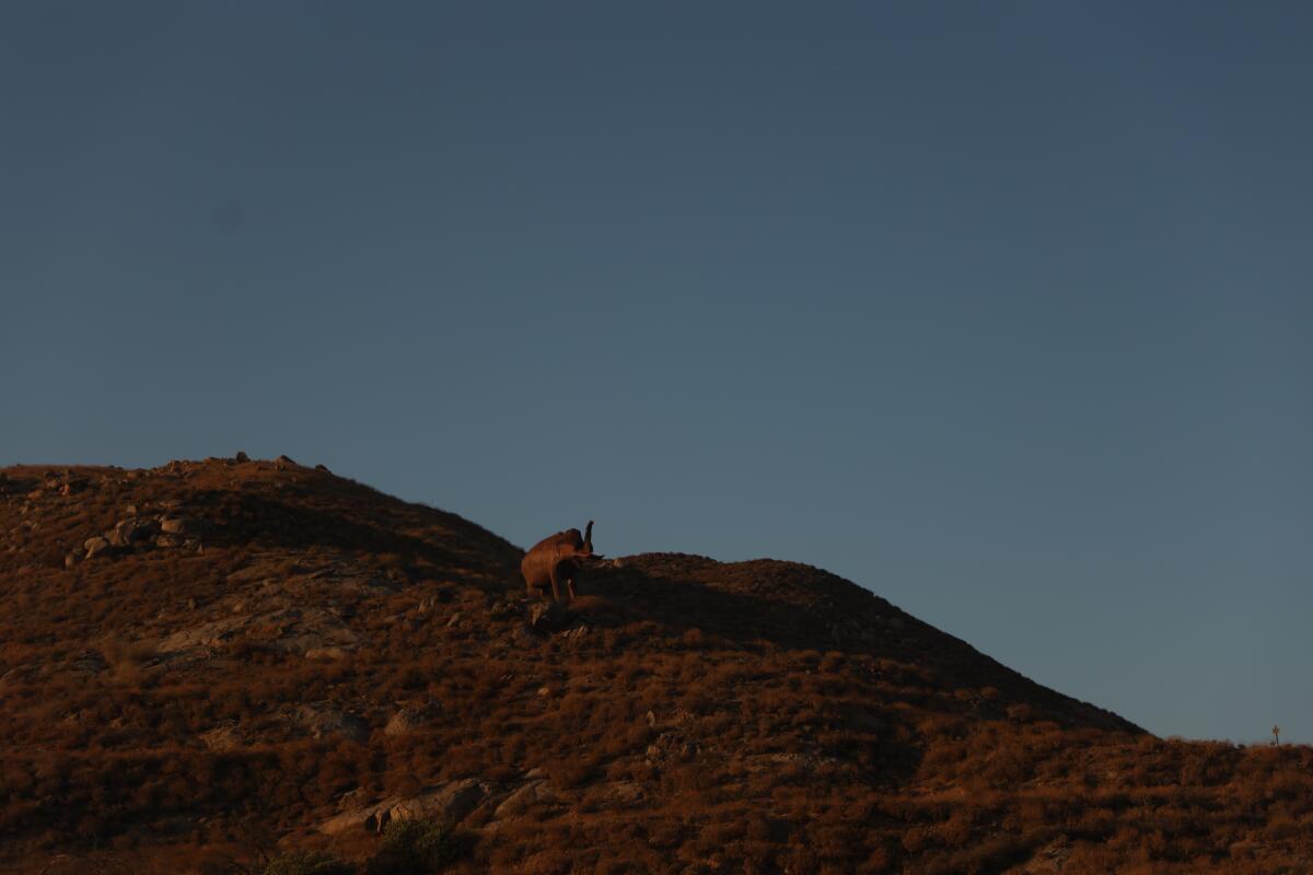 Dusk in Jurupa Valley.