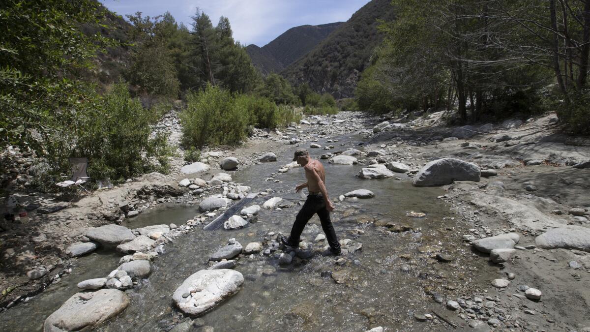 AZUSA, CALIF. -- THURSDAY, AUGUST 13, 2015: Gold miner Martin "Missouri" Jennings, 58, searches for gold in the cool waters of the East Fork of the San Gabriel River in The on Aug. 13, 2015. Missouri, as he is known to locals, has been searching for gold in the river for about eight years and doesn't like the fact that the area has been designated as a National Monument. Little has changed in the San Gabriel Mountains in the eight months since President Obama promised that designating the area a national monument would bring new safeguards and visitor improvements. Activists who lobbied for monument status say they are disappointed that no new federal revenue is flowing to the 346,000-acre wilderness, and that the U.S. Forest Service has taken no significant steps to change the way it manages it. The result is that the mountains still have overflowing trash cans, graffiti-covered restrooms, rivers strewn with garbage and little policing. (Allen J. Schaben / Los Angeles Times)