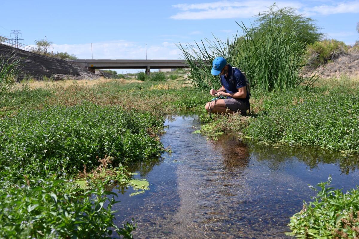 Ecologist Michael Bogan takes notes while measuring water quality in the Santa Cruz River in Tucson, Ariz., in June.