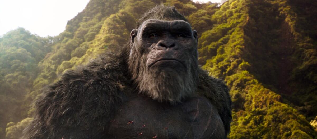 Kong in the wild in "Godzilla vs. Kong."