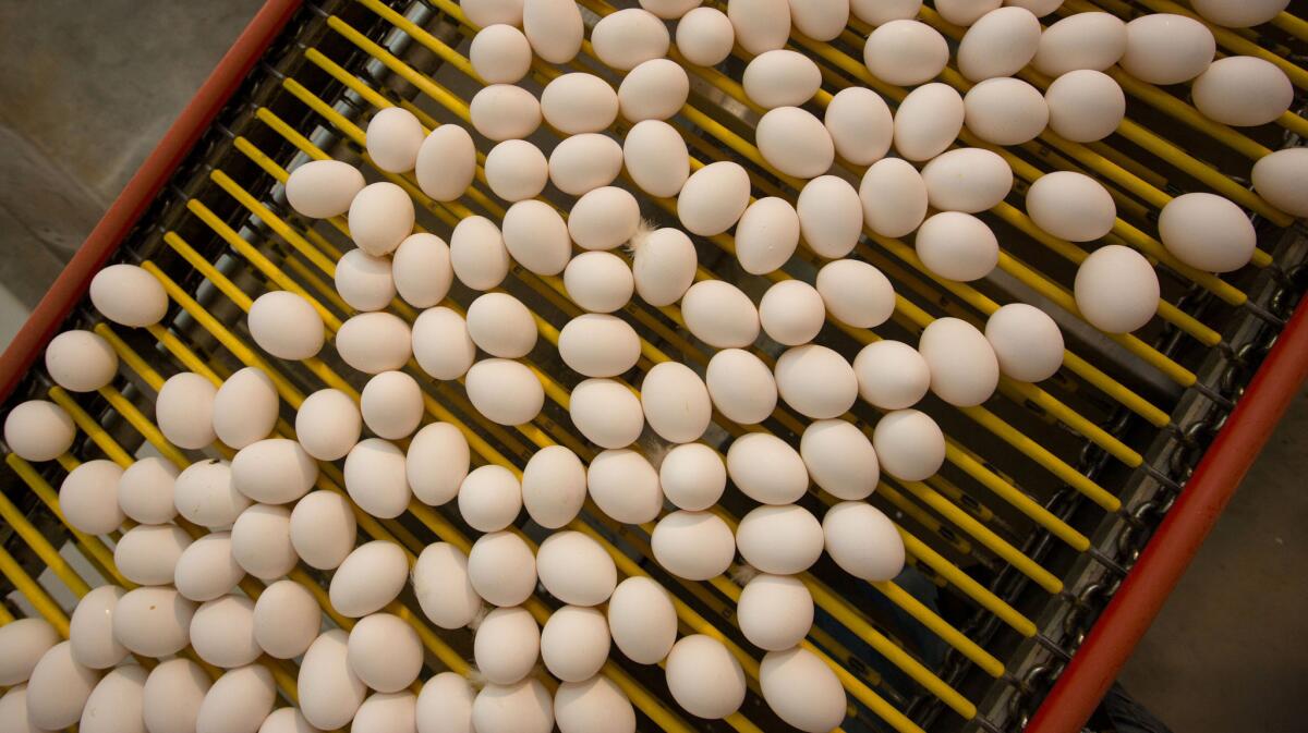 AB 1437 will essentially level the playing field for all egg farmers selling in California. Thanks to its provisions, California farmers won't have to compete against out-of-state producers who can underprice them by mistreating hens.