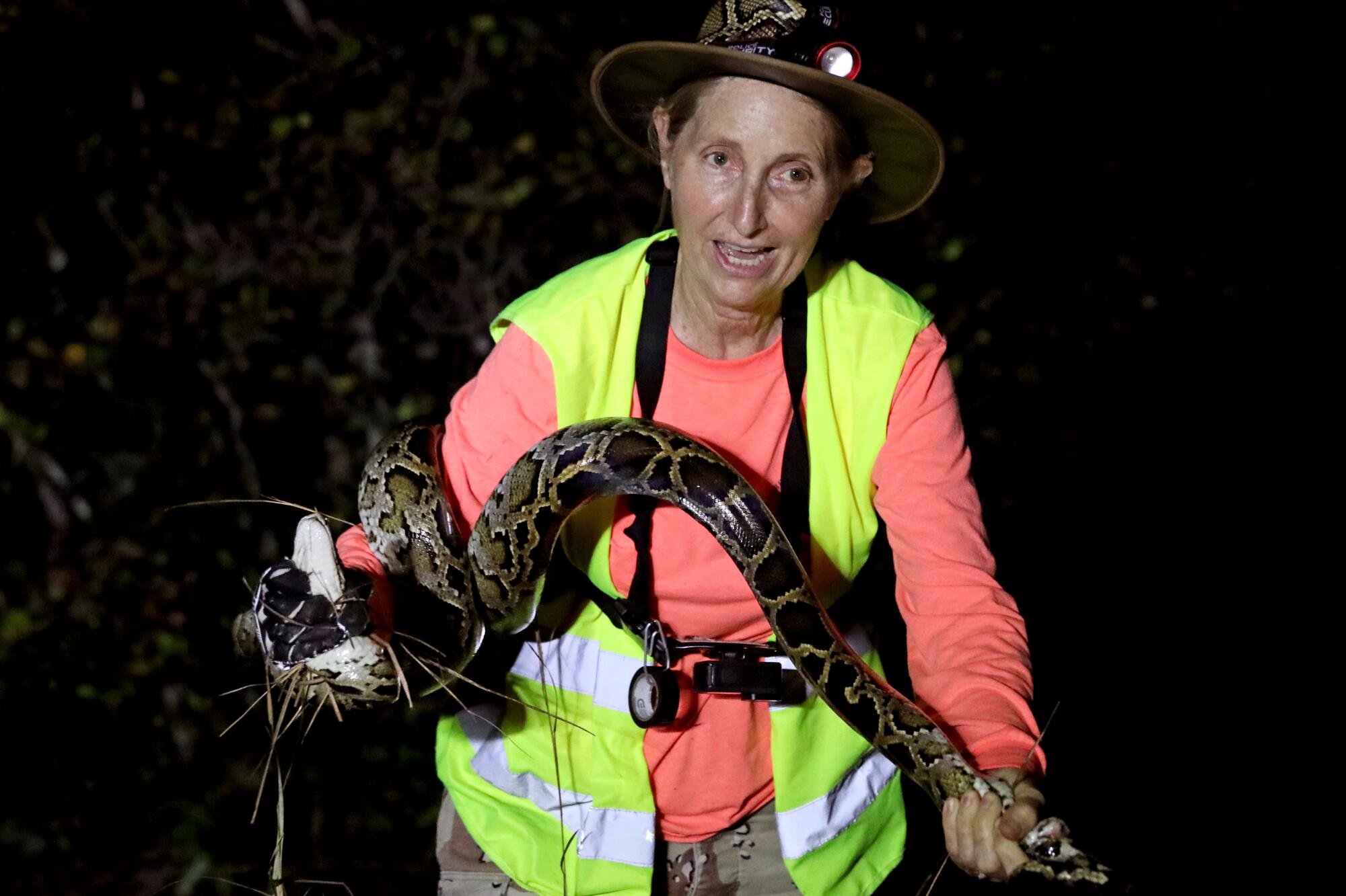 A woman holds an 8.5-foot python in the Everglades, west of Miami.