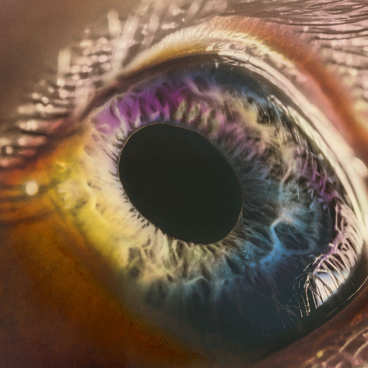 A closeup photograph of an eyeball.