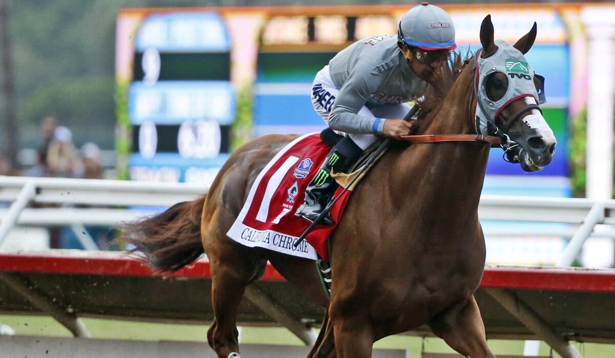 California Chrome flies down the stretch on the way to winning the Pacific Classic horse race at Del Mar Thoroughbred Club on Aug. 20.