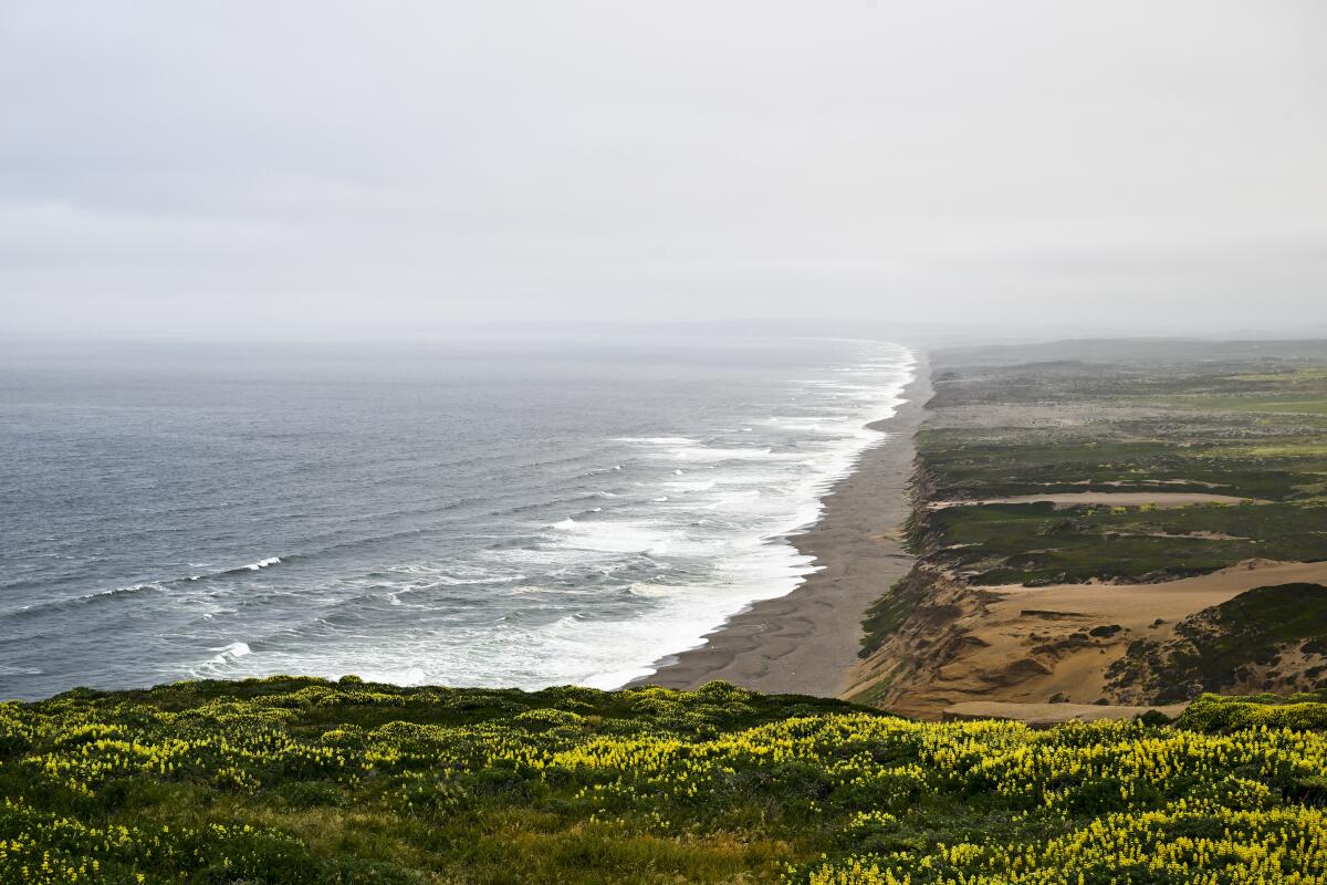  An aerial view of Point Reyes National Seashore in California.