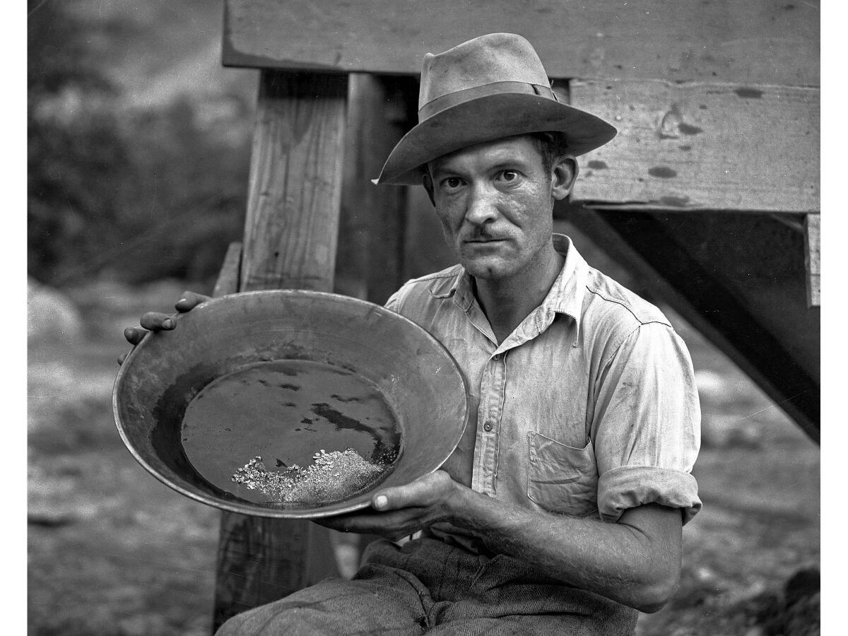 Charles T. Brown, a gold miner in San Gabriel Canyon, displays about $55 in gold in a pan. 