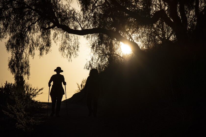 A person in a hat, a tree with trailing leaves and a hillside are silhouetted against a setting sun. 