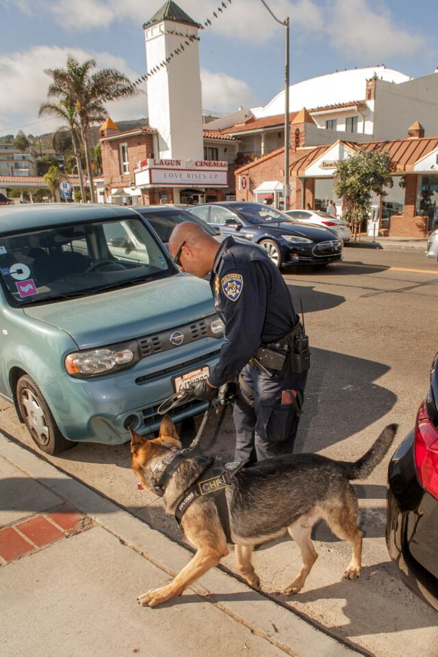 Laguna Beach rally