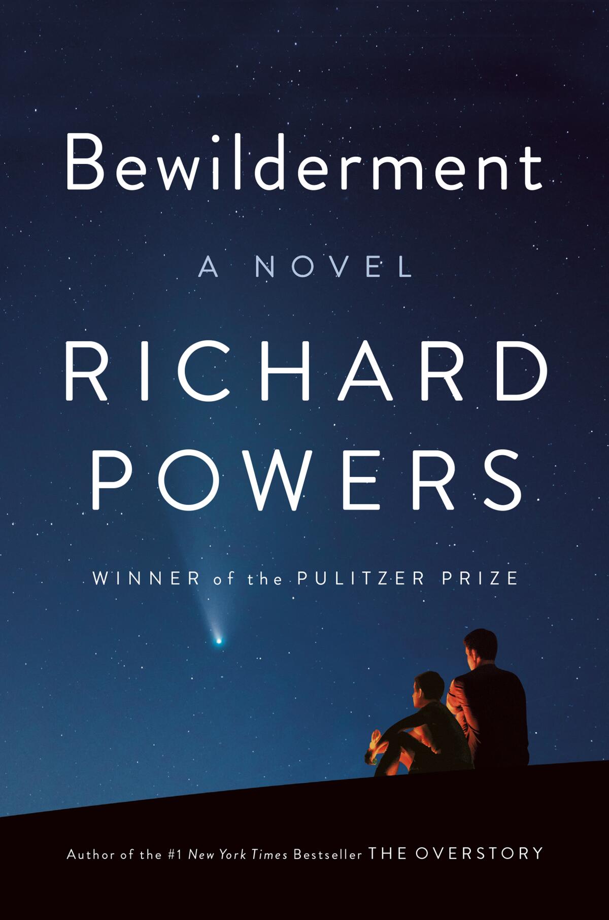 The cover for Richard Powers' novel, "Bewilderment."