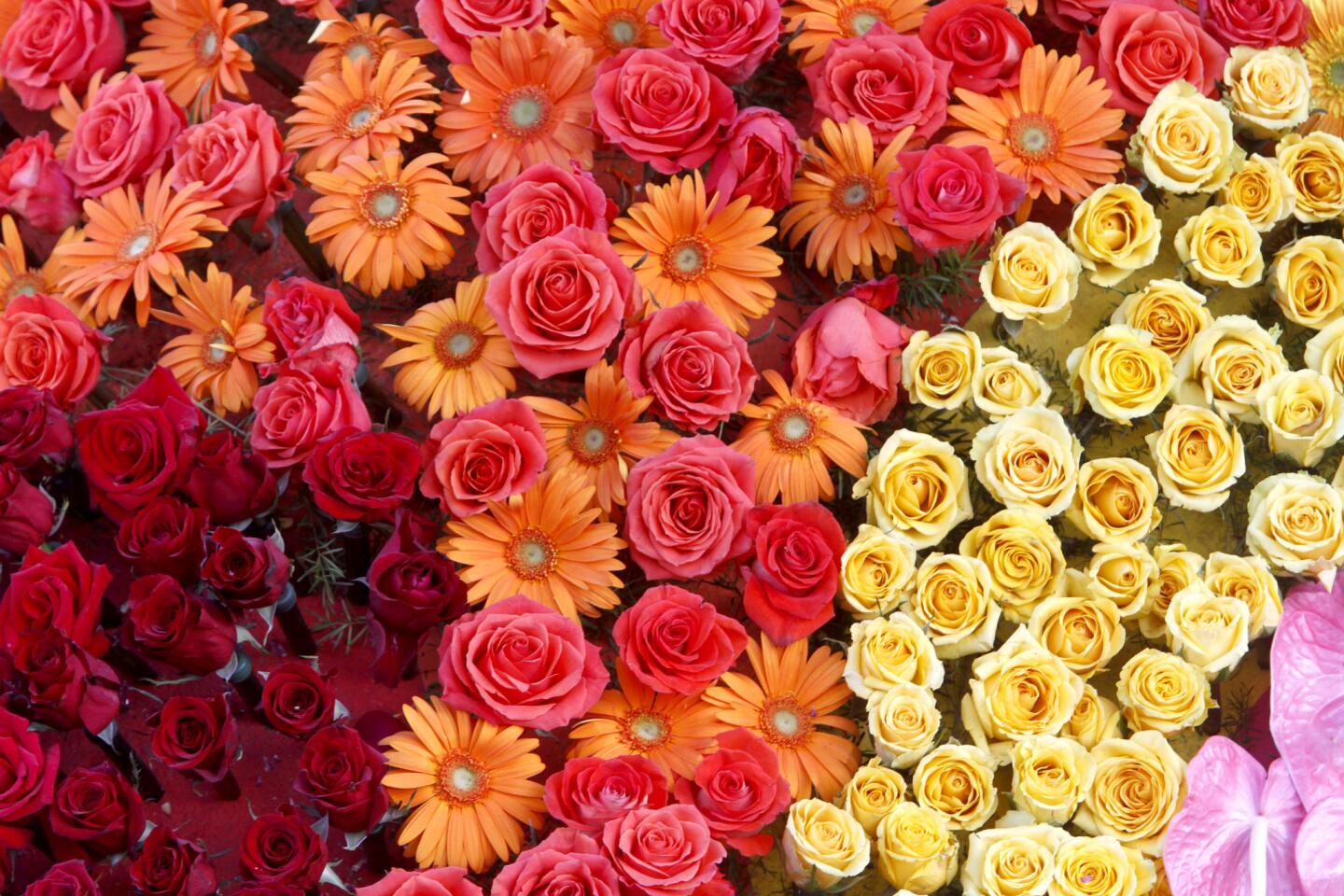 Rose Parade flowers