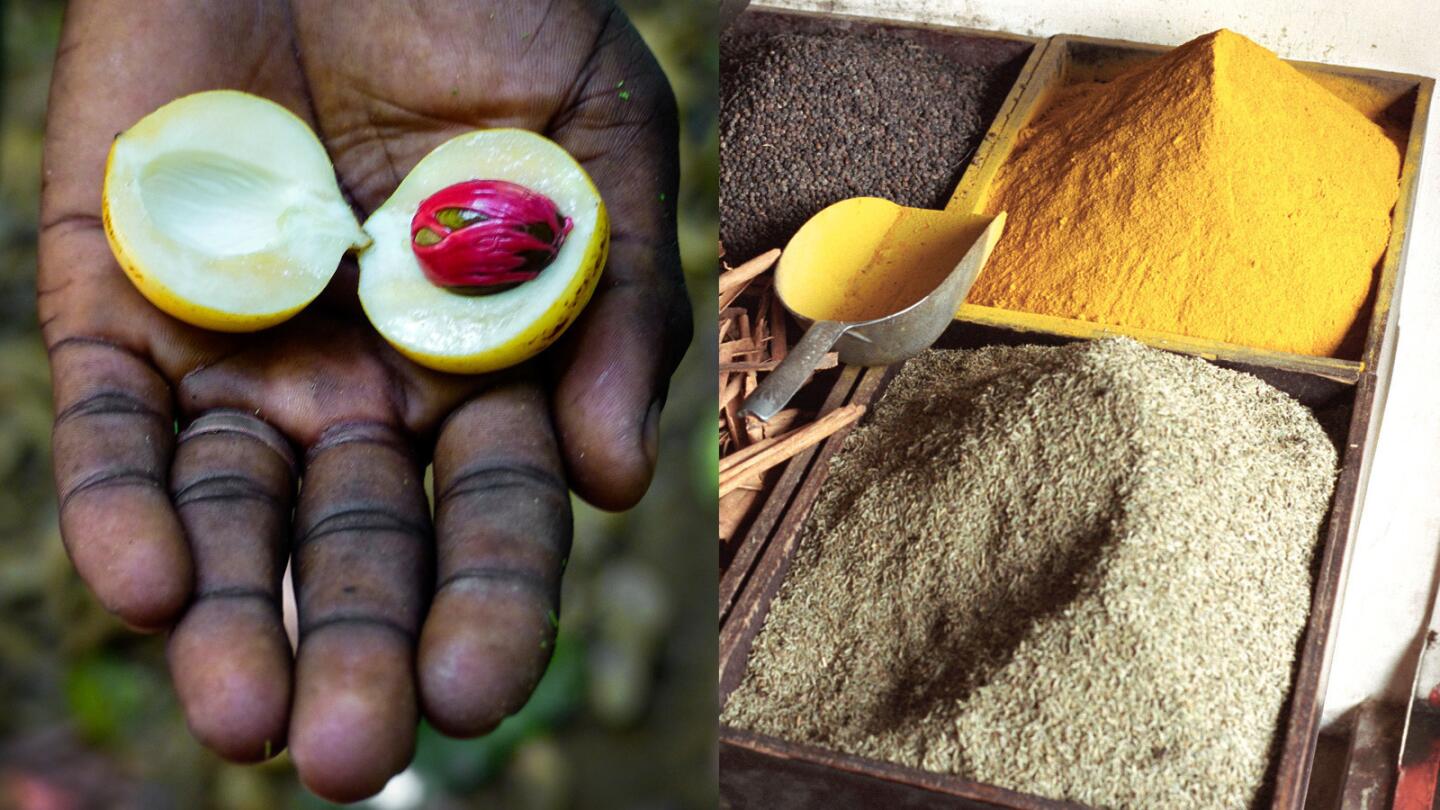 Guide Genes Salema holds out a kernel of nutmeg, left; the bright red covering, when dried, becomes the spice mace. A display of local spices, right, at Stone Town in central Zanzibar, Tanzania.