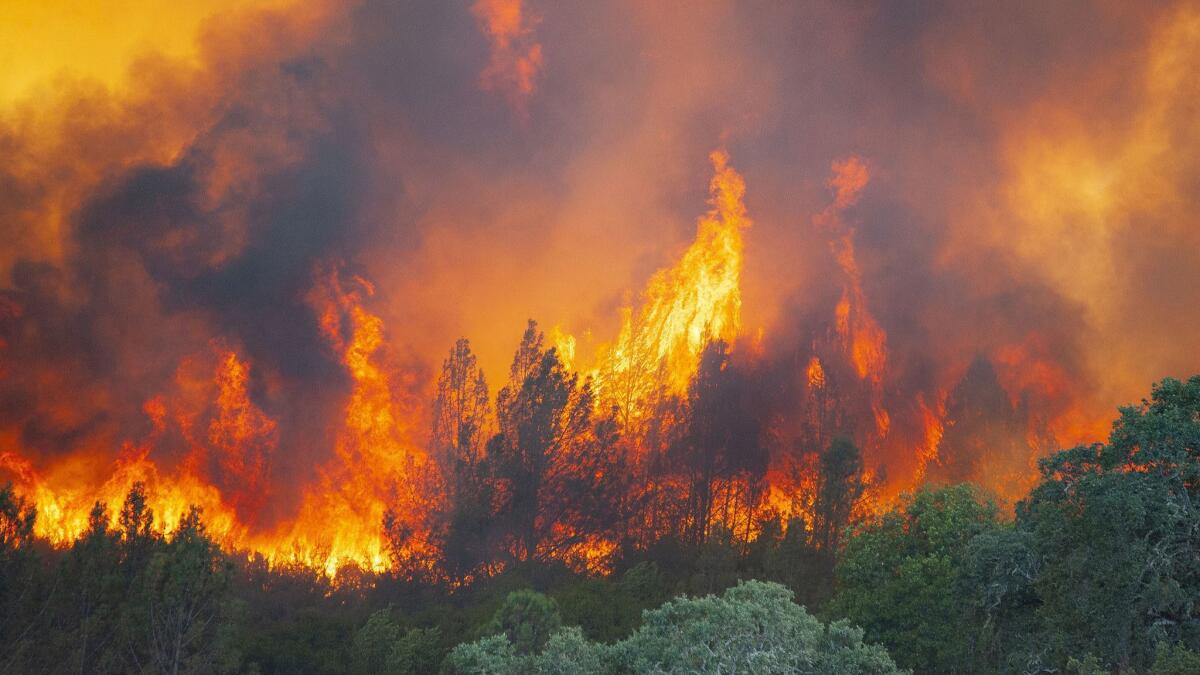 Flames erupt near Scott's Valley Road in Lake County, Calif., on Aug. 2.