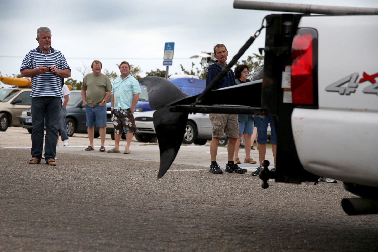 People watch as a dead pilot whale is transported to a facility for a necropsy by the National Oceanic and Atmospheric Administration's Fisheries Service on January 21, 2014 in Estero, Florida.