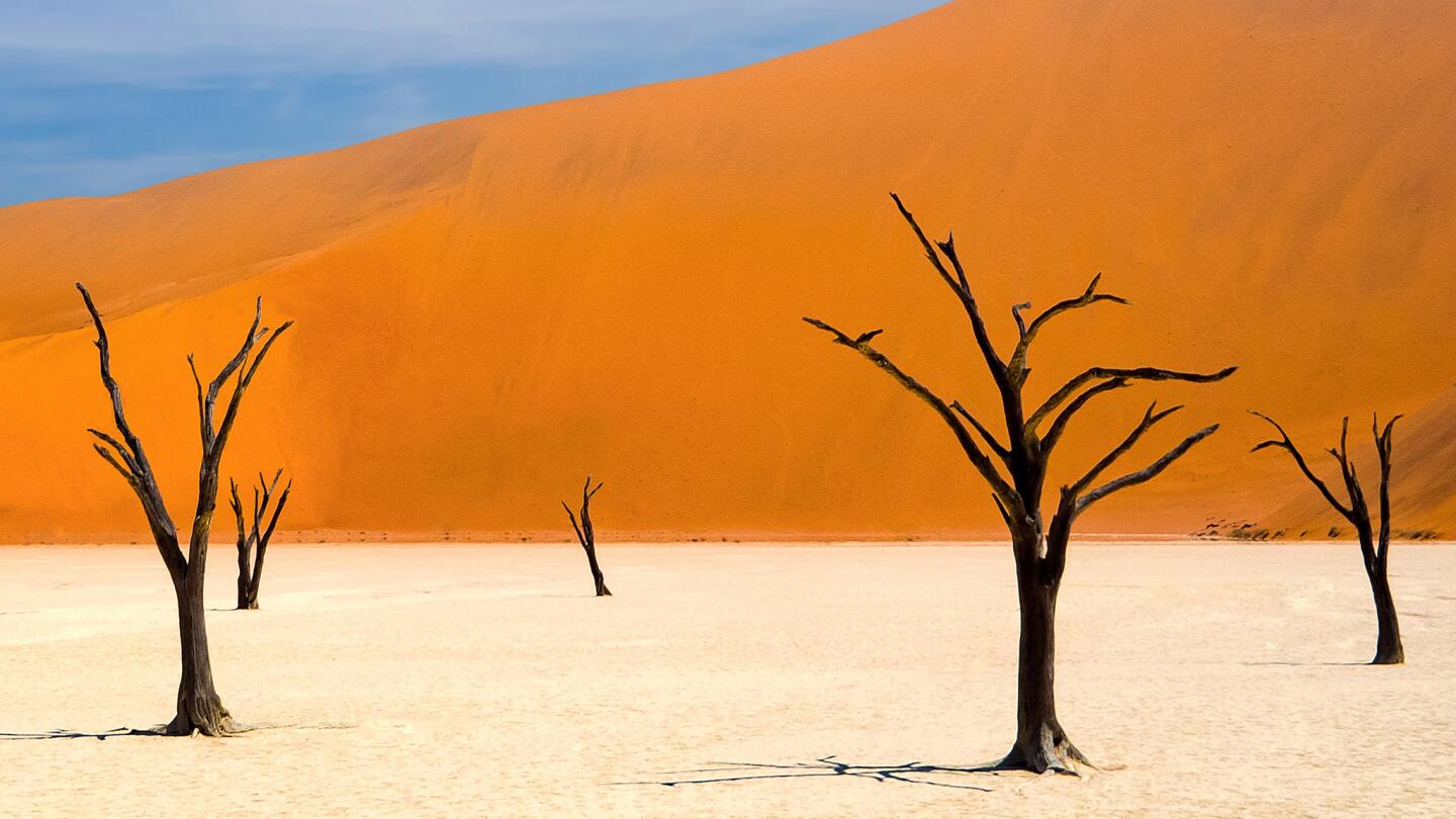 Petrified Forest, Deadvlei, Namib desert, Namibia, Africa