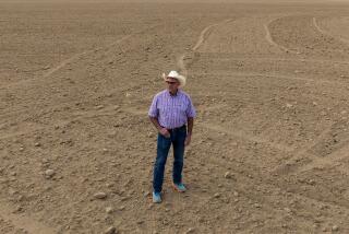 Buttonwillow, CA - November 30: Daniel Rudnick stands for a portrait on land he owns in Buttowillow on Thursday, Nov. 30, 2023 in Buttonwillow, CA. Rudnick recently won approval to build a 255-acre warehousing project along 7th Standard Road. (Brian van der Brug / Los Angeles Times)