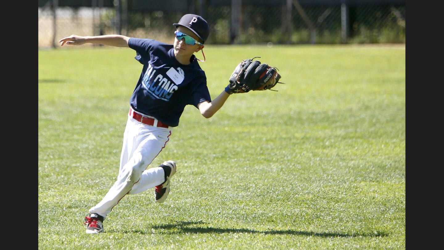 Bijan Beers makes a catch in the outfield during drills at the annual Falcons Baseball Camp, at Stengel Field in Glendale on Tuesday, June 13, 2017.