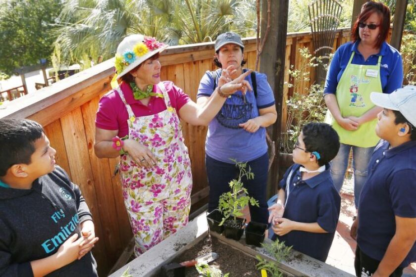 Pam Meisner teaches students from Davila Day School about gardening at the Water Conservation Garden near Cuyamaca College.