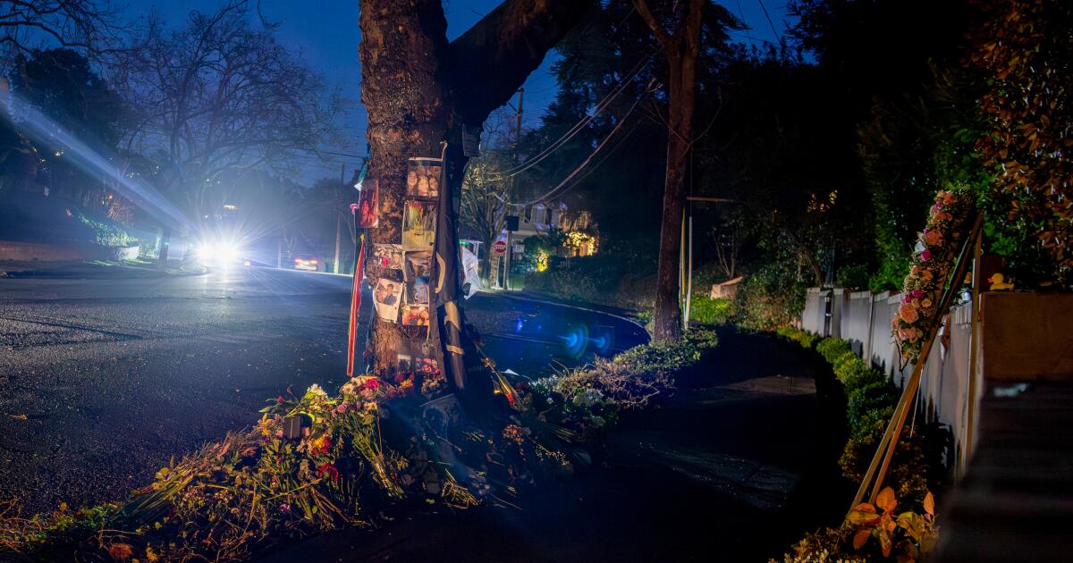 ترامب يقول الناجي من حادث Cybertruck المميت في منطقة الخليج يقاضي شركة Tesla
