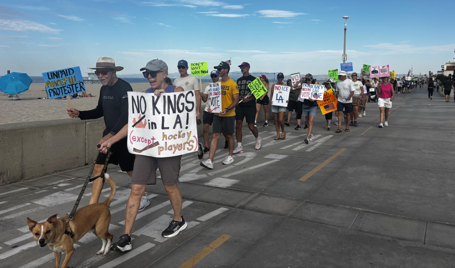 'No Kings' protesters across SoCal and the nation rally behind voter participation