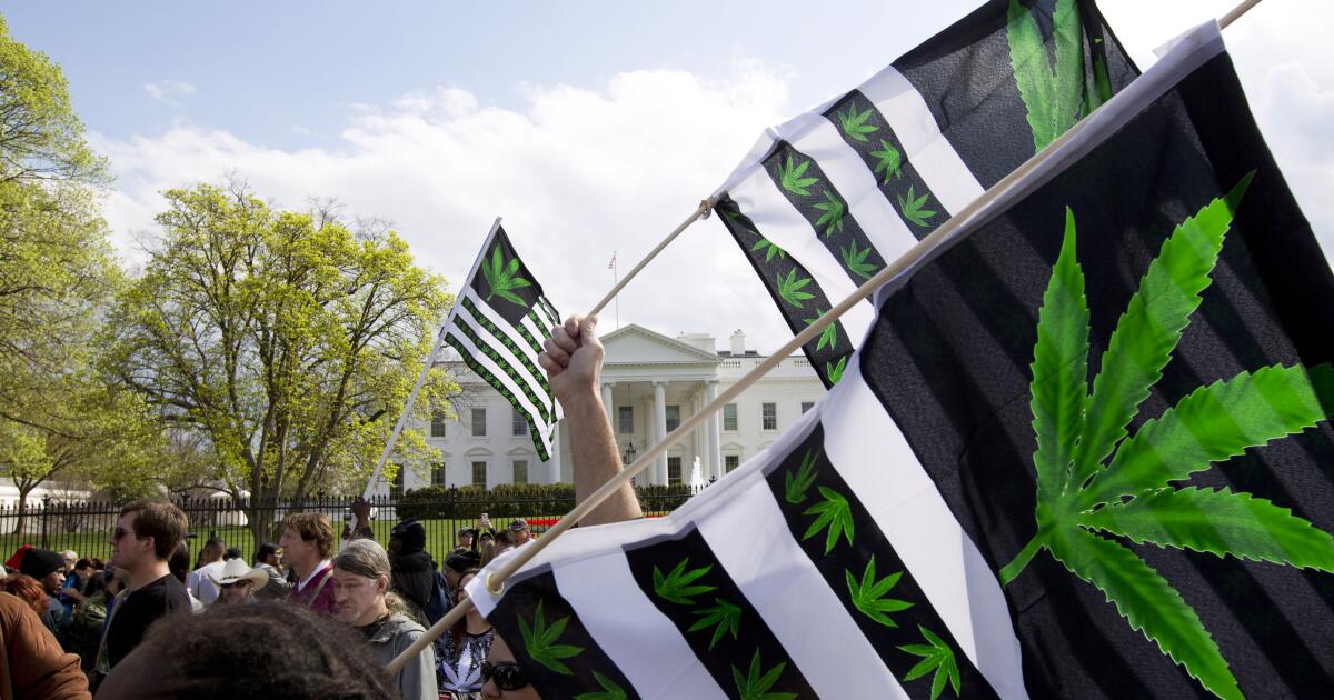 Biden, at risk with young voters, is racing to shift marijuana policy Biden, at risk with young voters, is racing to shift marijuana policy