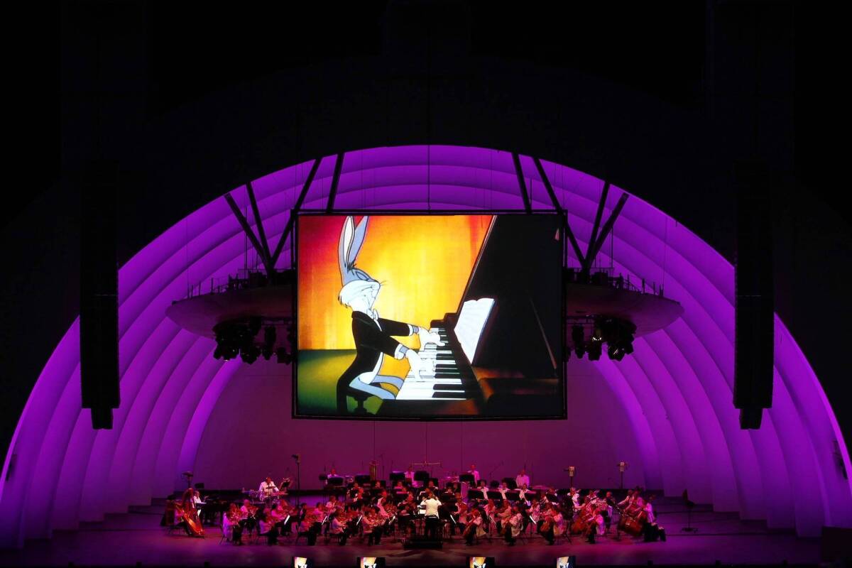 The Los Angeles Philharmonic, conducted by George Daugherty, performs along with projections of Bugs Bunny, during "Bugs Bunny at the Symphony II" at the Hollywood Bowl on July 5, 2013.