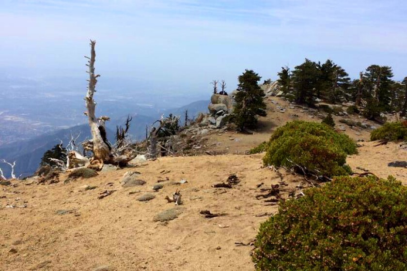 50 hikes for the Hiking Issue 2021. Cucamonga Peak. Badass.