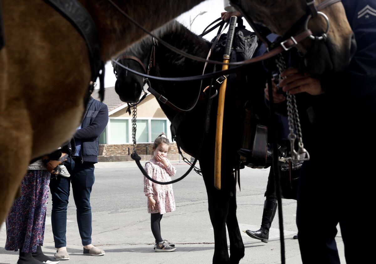 Tali Goldstein, 5, visiting from London with her family, looks towards LAPD officers on horseback along Pico Boulevard 