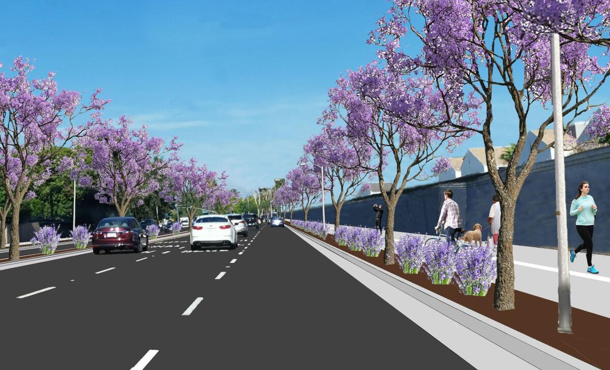 A rendering shows a Class I bicycle trail being planned for Adams Avenue.