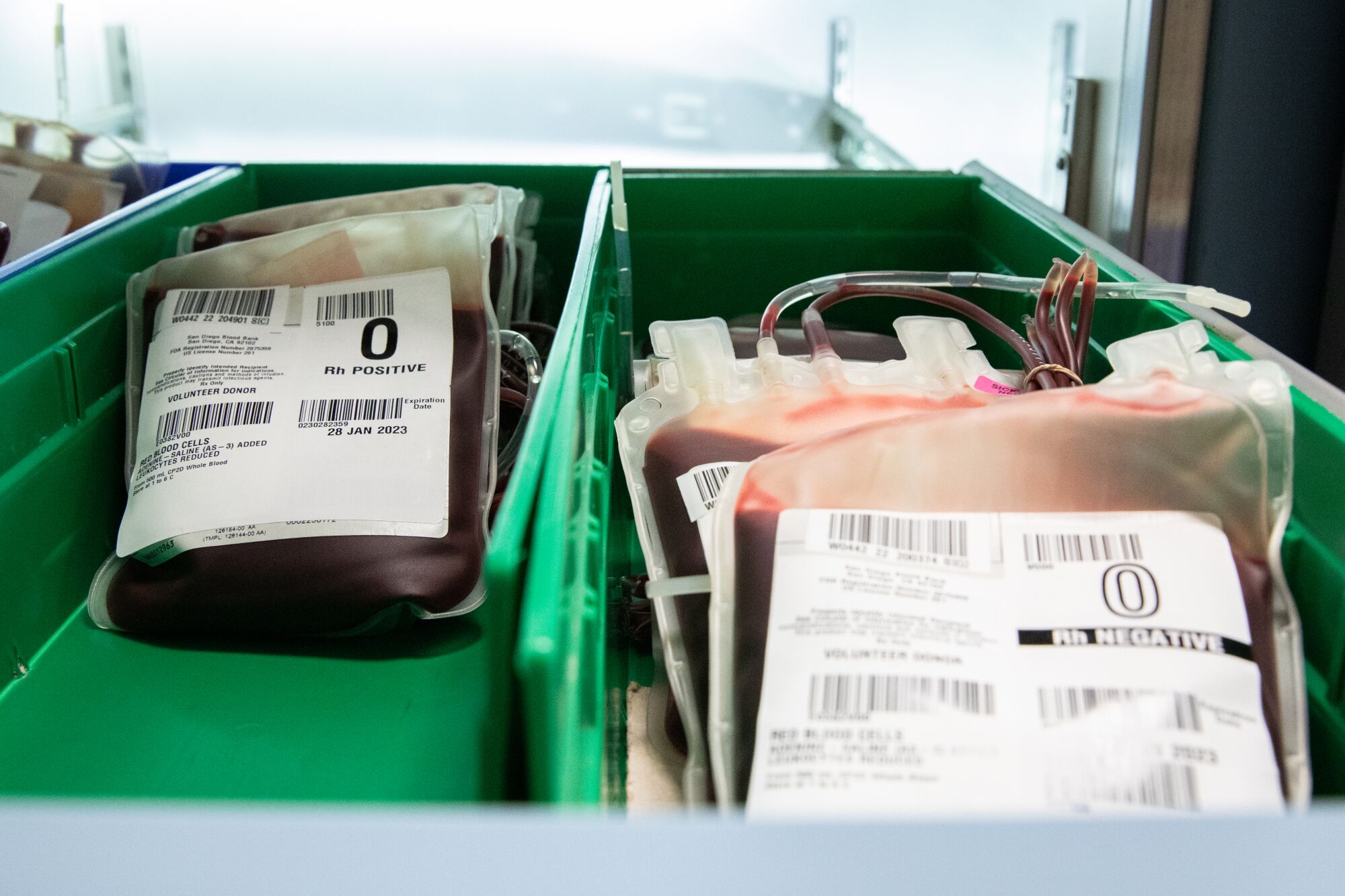 Bags of donated blood are stored in cooled refrigerators in the laboratory of Rady Children's Hospital in San Diego, CA .