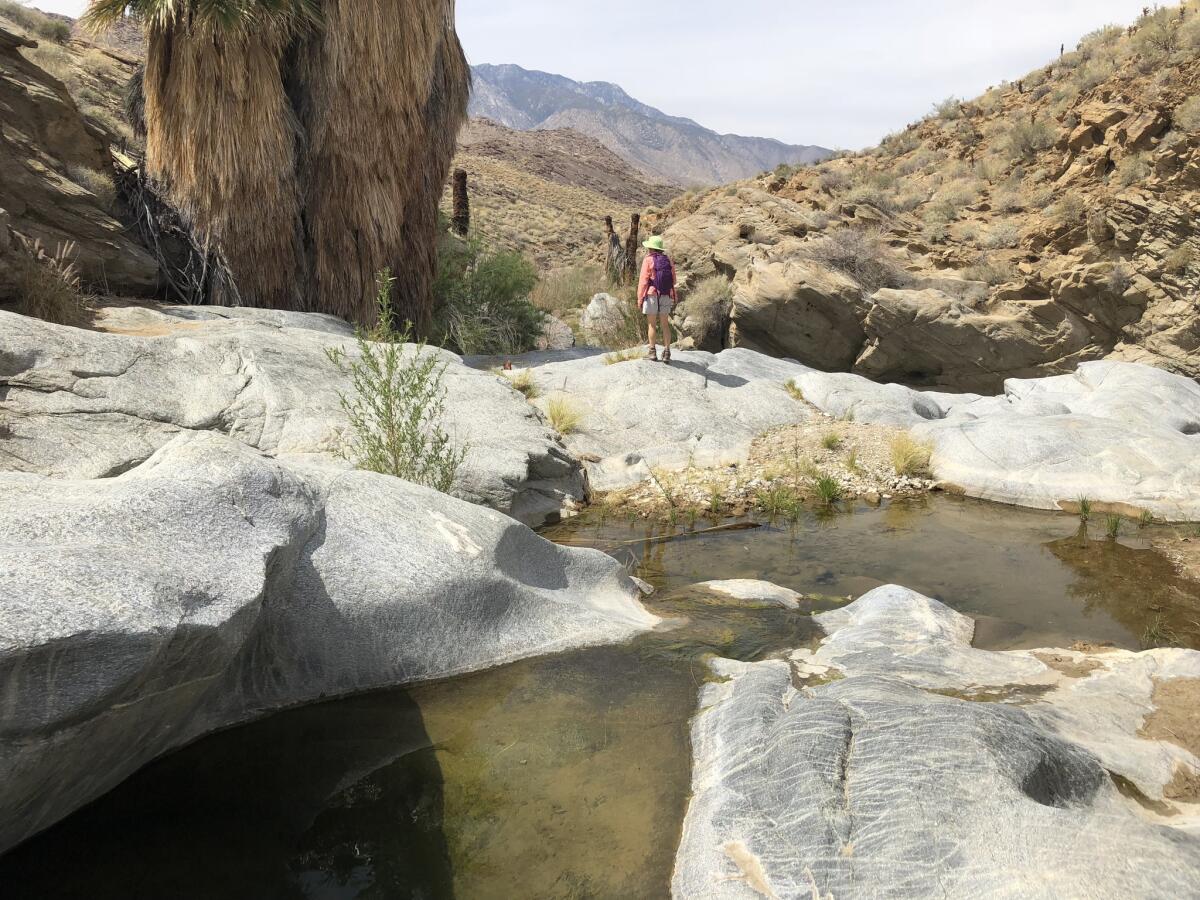 A hiker walks along granite slabs sculpted by tumbling waters on the Stone Pools Trail near Palm Springs.