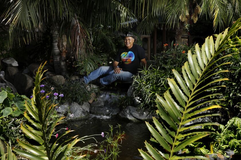 MANHATTAN BEACH-CA-JUNE 10, 2022: Mike Garcia, a landscape contractor in Manhattan Beach who took out his lawn 15 years ago and installed a waterfall/water recycling system in his front and back yards to recycle rainwater, is photographed on June 10, 2022. He recently helped Jordan Karambelas, 17, a junior at Mira Costa High School in Manhattan Beach to create a raised redwood vegetable bed that is watered by an attached fish pond underneath. (Christina House / Los Angeles Times)