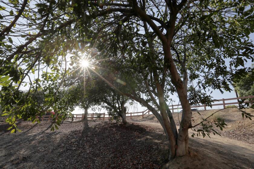 To enjoy a sliver of the wild in the midst of Monterey Park, hit the Edison Trail, which rises to a hillside lookout.