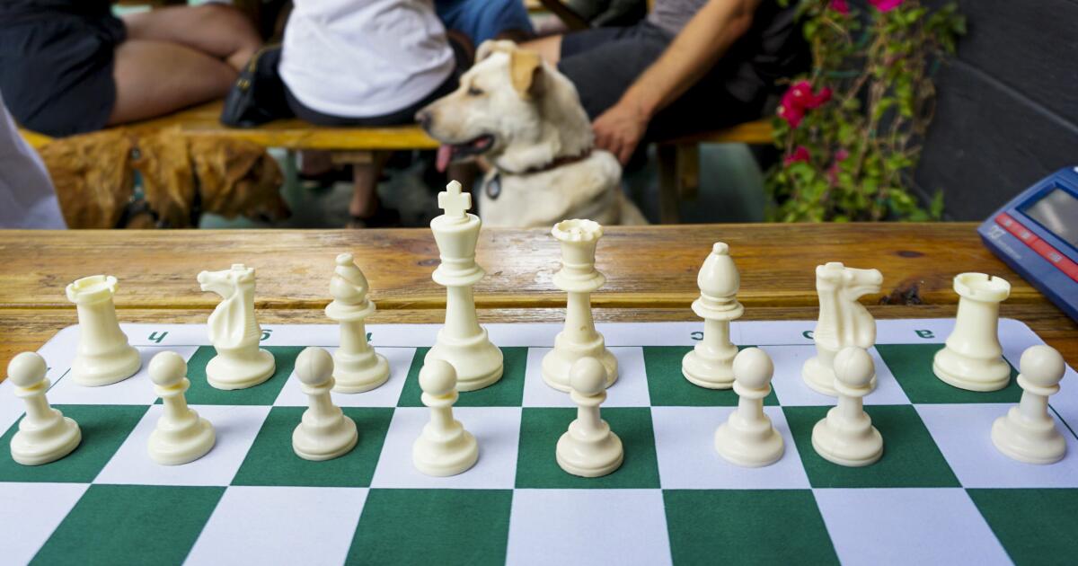 16 Kasparov Champion Folding Chess Set
