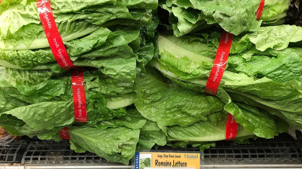 Romaine lettuce