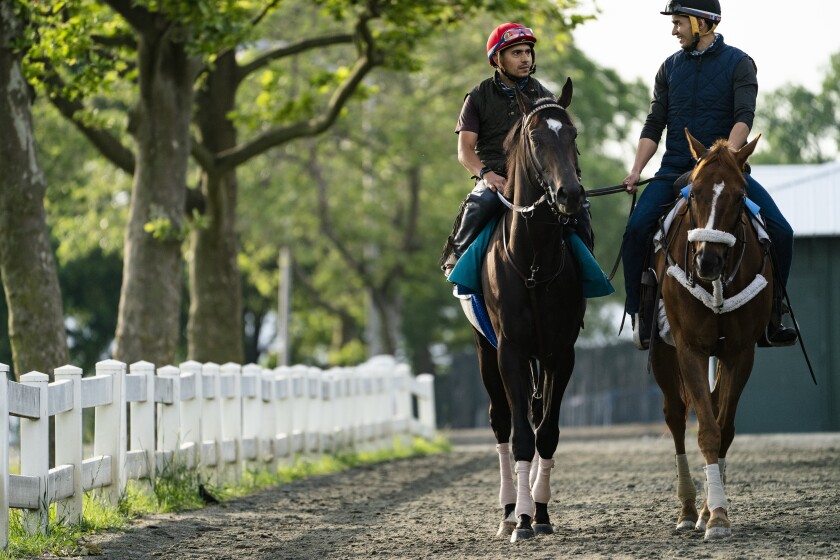 Belmont Stakes entrant Rock Your World, center, is walked towards the main track for a training run ahead of the 153rd running of the Belmont Stakes horse race, Wednesday, June 2, 2021, at Belmont Park in Elmont, N.Y. (AP Photo/John Minchillo)