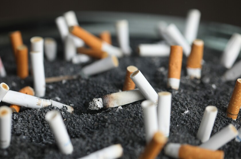 A close-up of cigarette butts in an ashtray